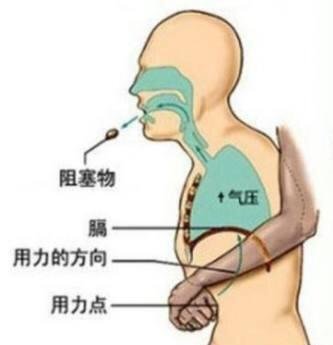 同人色情小说
